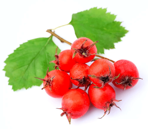 Biancospino a Tonerin